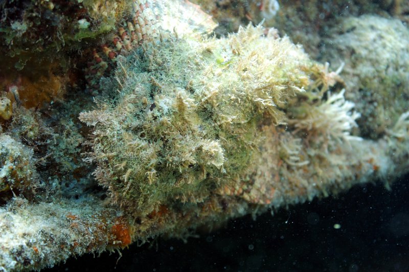 Curacao 04-12 113.jpg